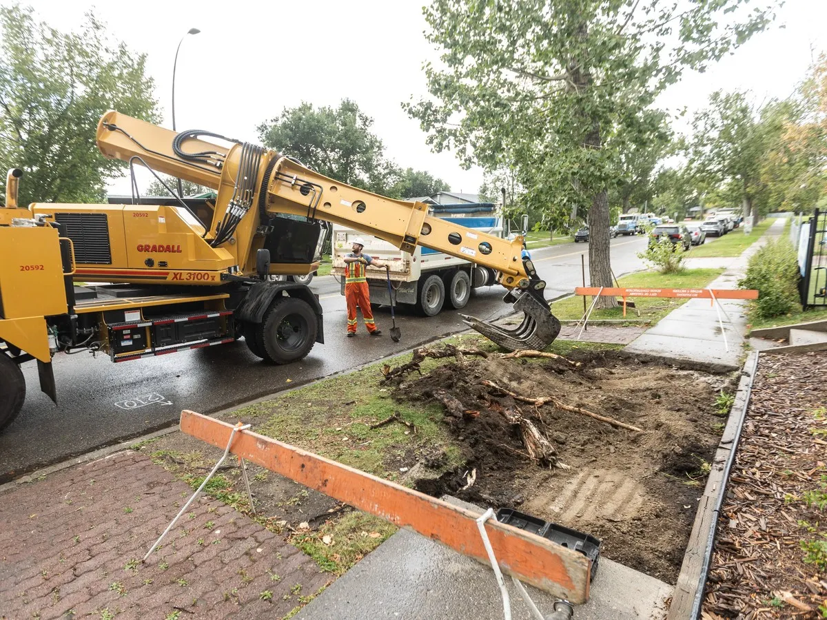 City's sidewalk network faces quarter-billion-dollar repair backlog: report