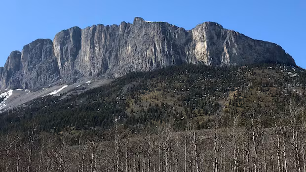 Hiker dies falling from Mount Yamnuska in Kananaskis Country | CBC News