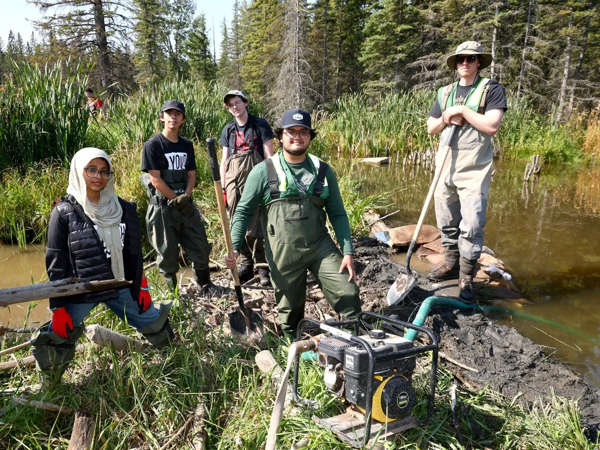 Olive branch extended to Fish Creek Park beavers in bid to reduce flooding