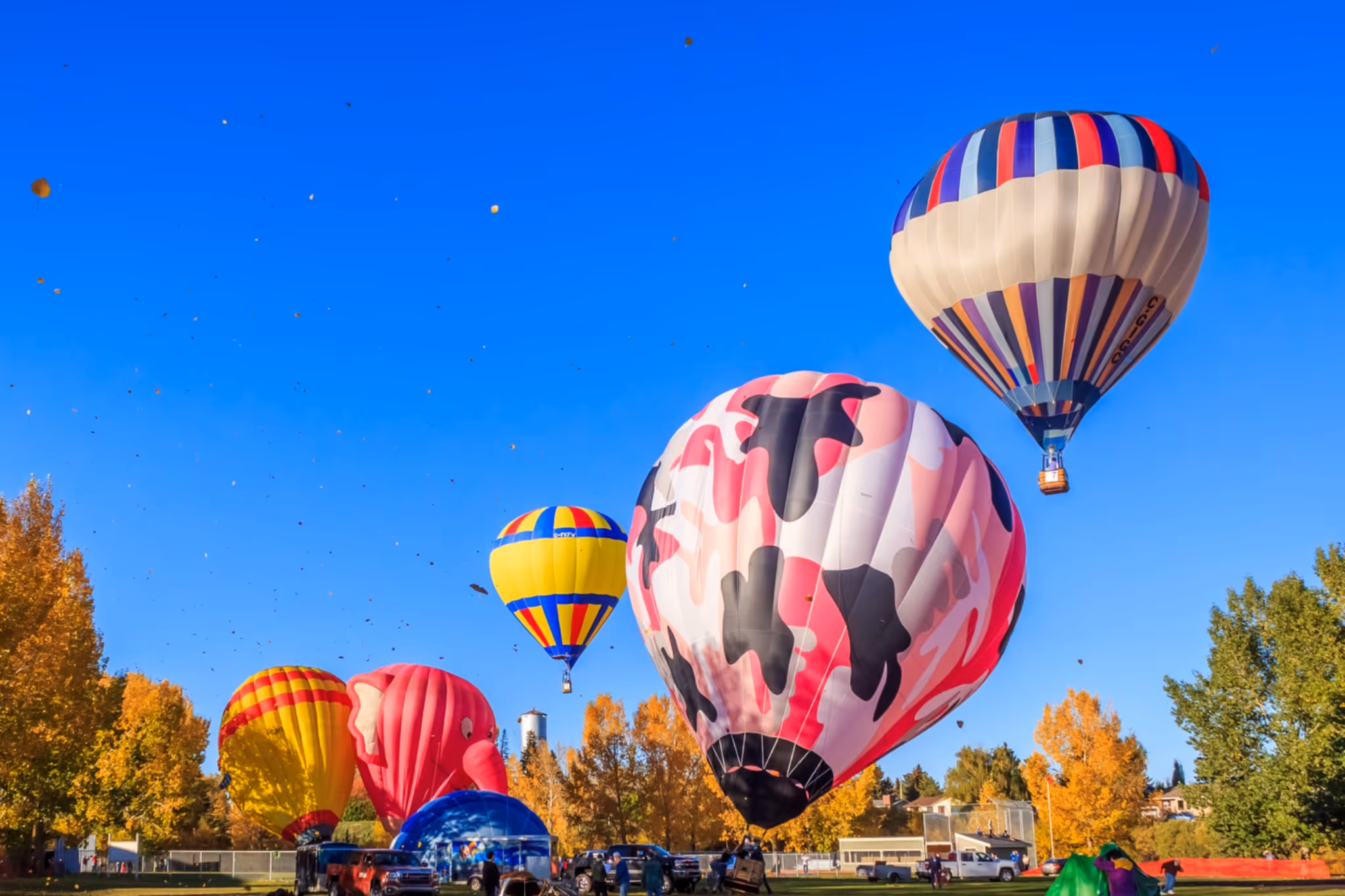 A flurry of hot air balloons will light up after dark at this free Alberta festival
